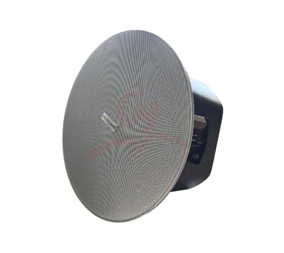 6.5-inch ceiling horn