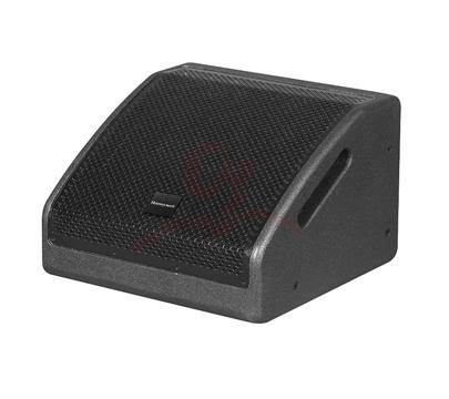 12 inch two frequency division back listening speaker